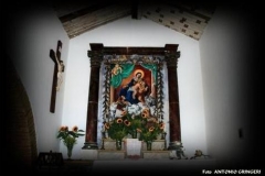 radici_memoria201011