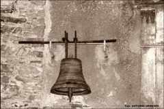 radici_memoria201020