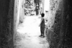 radici_memoria201133