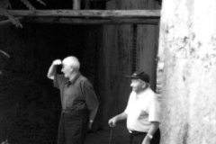 radici_memoria201134