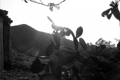 paesaggi003