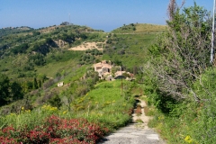 paesaggi014