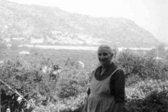 vincenza-pisa