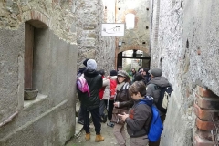 pfm_DSC00231