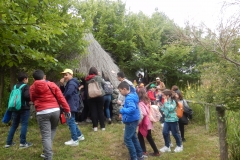 DSCN0237