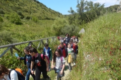 DSCN0272