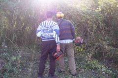 scuola_pratiche_sost009